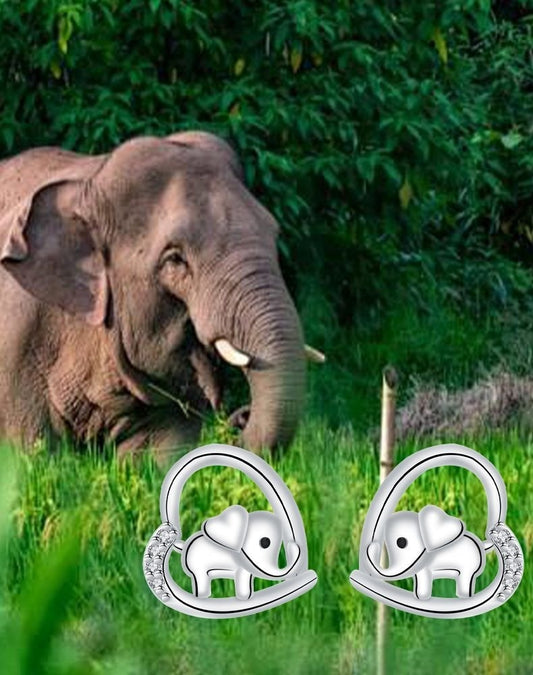 Elephant TK Earrings For Women